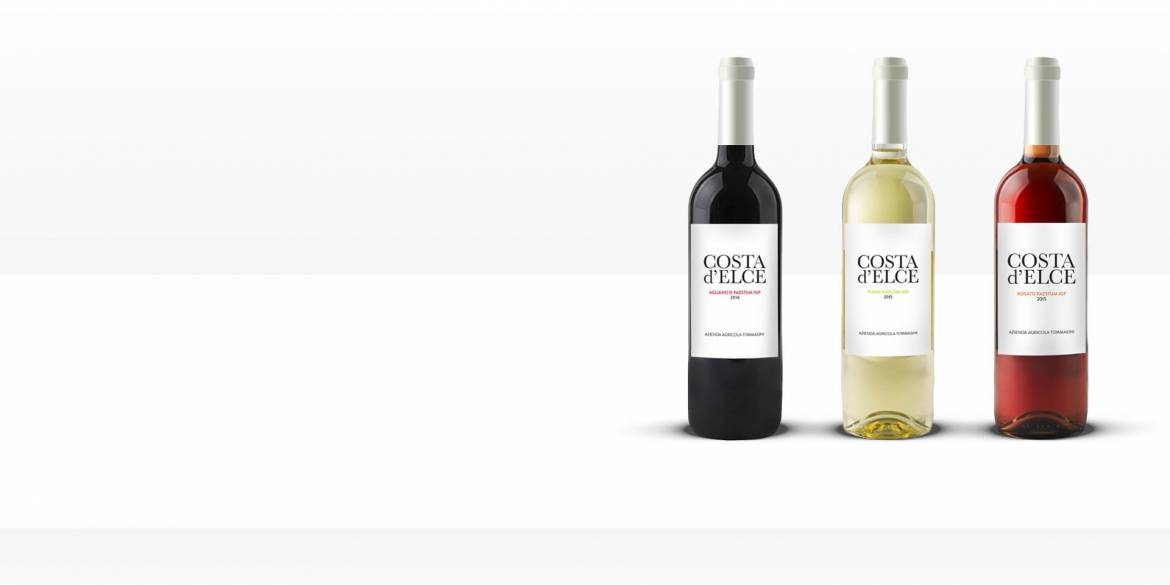 vini-agricola-tommasini-cilento.jpg