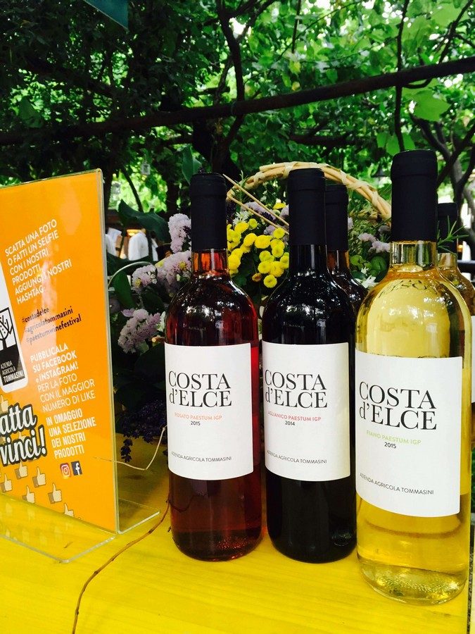 vini-costa-delce-cilento.jpg