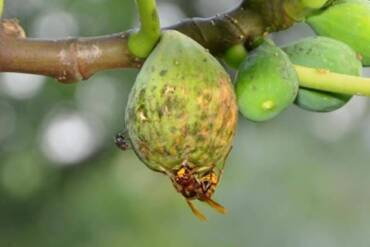 “La natura insegna e perdona sempre”