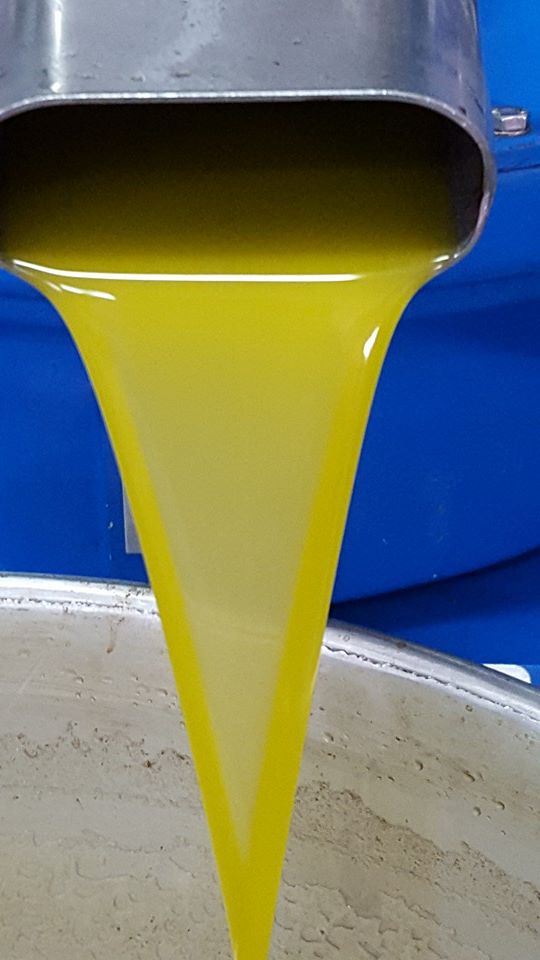 olio.jpg