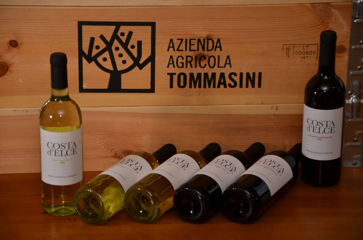 vini-cilento-costa-delce.jpg