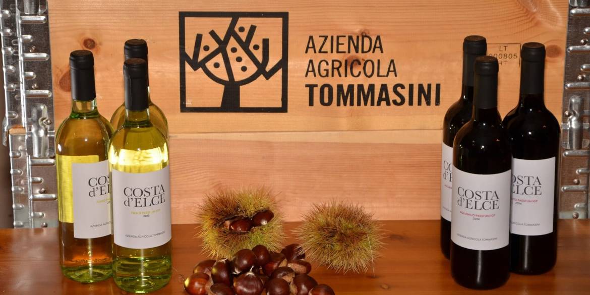 vini-costa-delce-cilento.jpg
